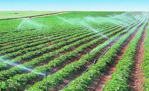 不要太深了好舒服农田高 效节水灌溉